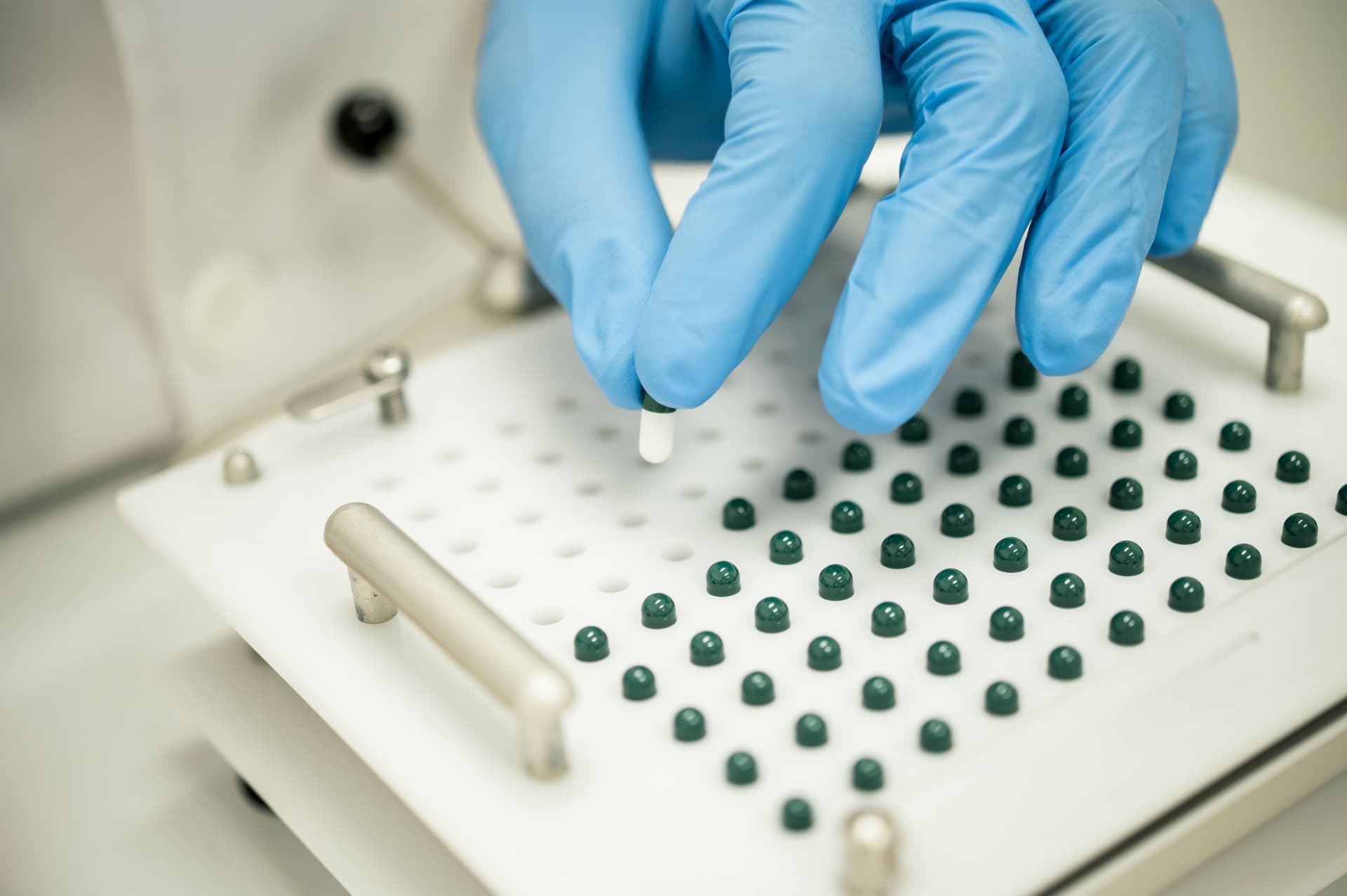 Gloved hand placing a capsule on a laboratory counting tray